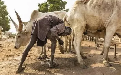 Mundari People of South Sudan: Cattle, Culture & Tradition