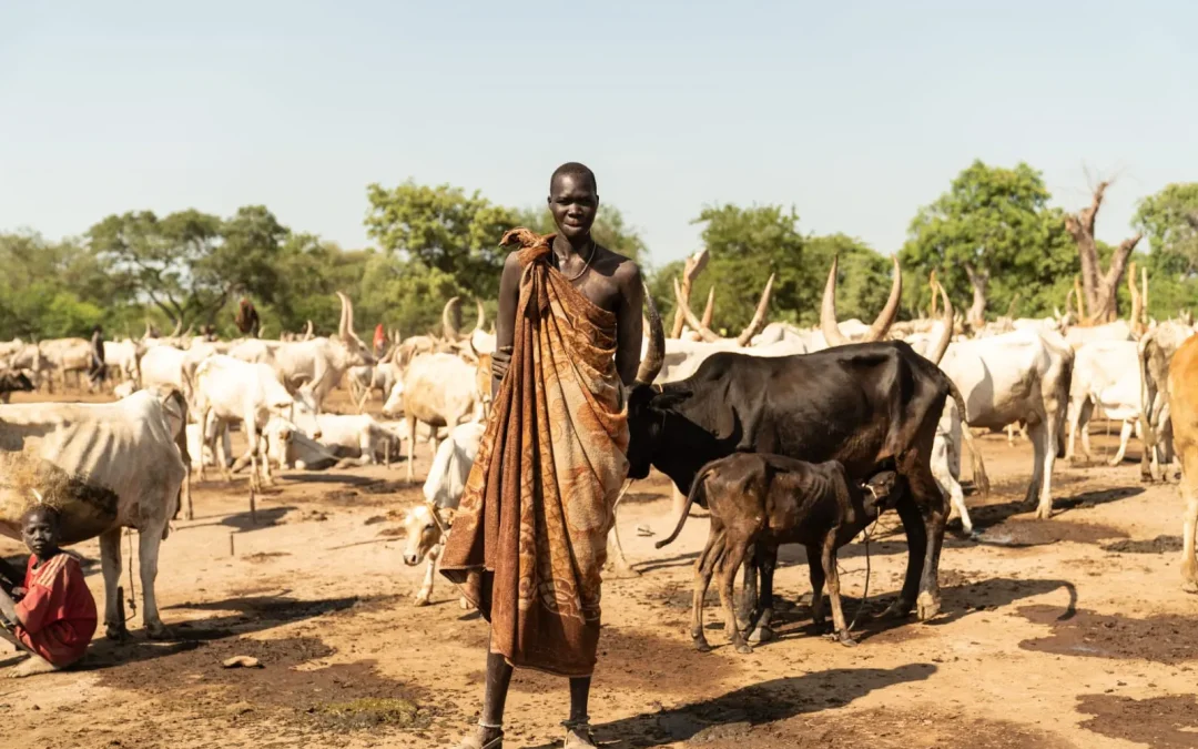 Discover the Mundari people of South Sudan, their long-horned cattle, camp life and traditions, and how to visit a Mundari cattle camp from Juba.