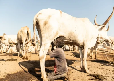 Discover the Mundari people of South Sudan, their long-horned cattle, camp life and traditions, and how to visit a Mundari cattle camp from Juba.