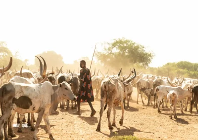 Discover the Mundari people of South Sudan, their long-horned cattle, camp life and traditions, and how to visit a Mundari cattle camp from Juba.